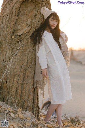 A woman sitting on top of a tree in the desert.